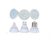 Growing Lamps Plant
